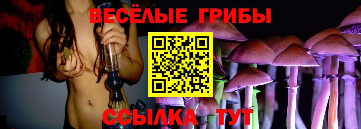 Каменск-Уральский  Галлюциногенные грибы Magic Shrooms  Вход с VPN  Галлюциногенные грибы MAGIC MUSHROOMS 